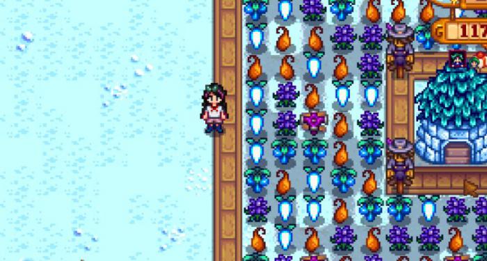 星露谷物语高级任务怎么完成1