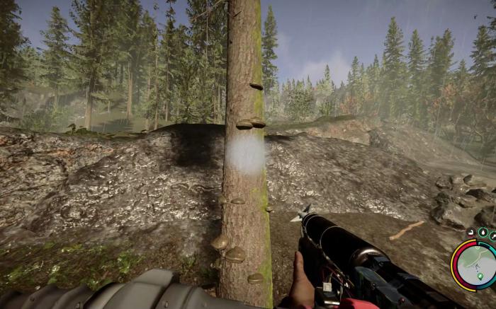 森林之子前中期有哪些关键点2