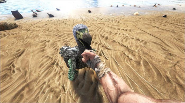 方舟生存进化如何培养恐龙2