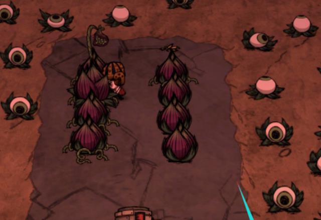 饥荒食人花有什么作用1