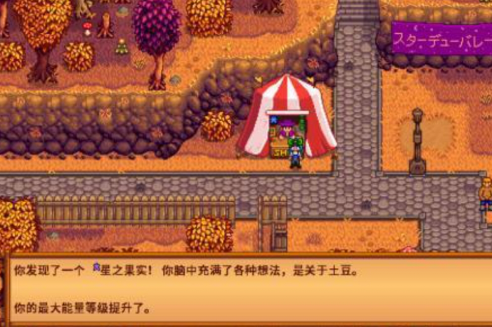 星露谷物语星之果实在哪里拿1