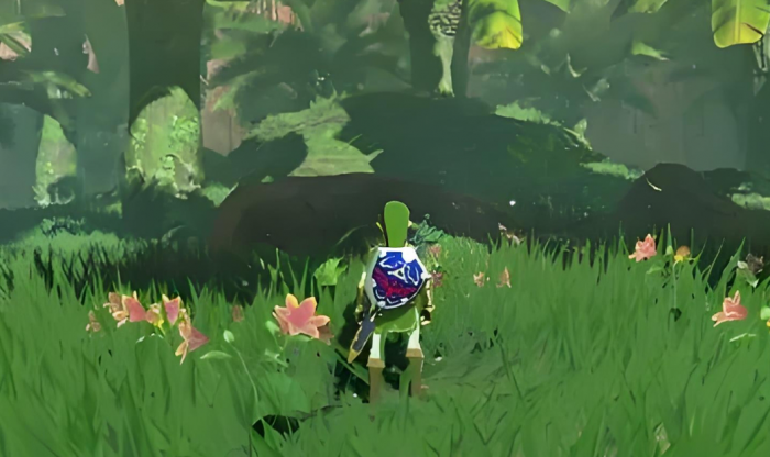 旷野之息怎么制作精力药水_塞尔达如何制作精力药水