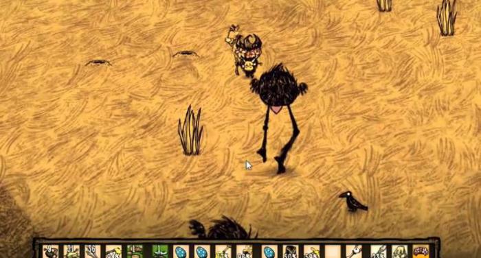 饥荒鸟类怎么抓_饥荒鸟类代码大全