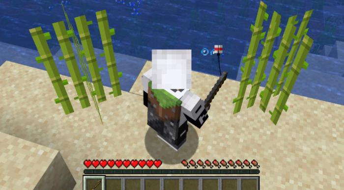 我的世界钓鱼技巧有哪些2