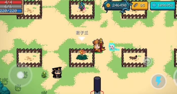 元气骑士君子兰有着什么作用2