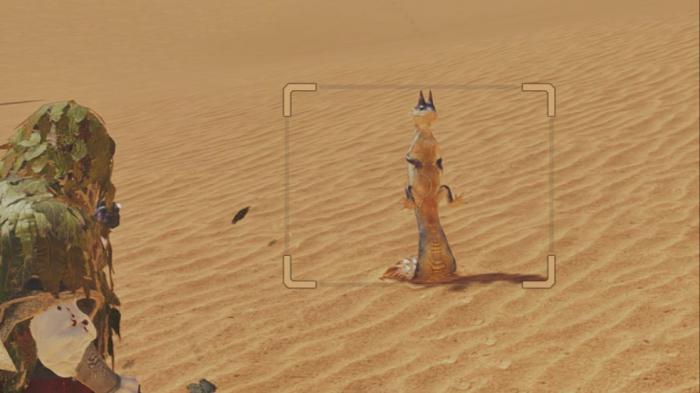 怪物猎人荒野环境调查生物有哪些1