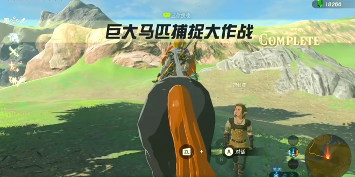 塞尔达传说湖畔和高原驿站有什么挑战3