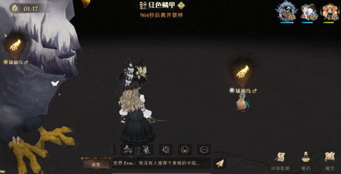 哈利波特魔法觉醒球遁鸟任务怎么做_哈利波特魔法觉醒官服