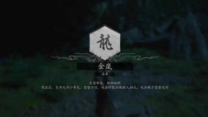 黑神话悟空A级以上变身有哪些_黑神话悟空到底怎么样