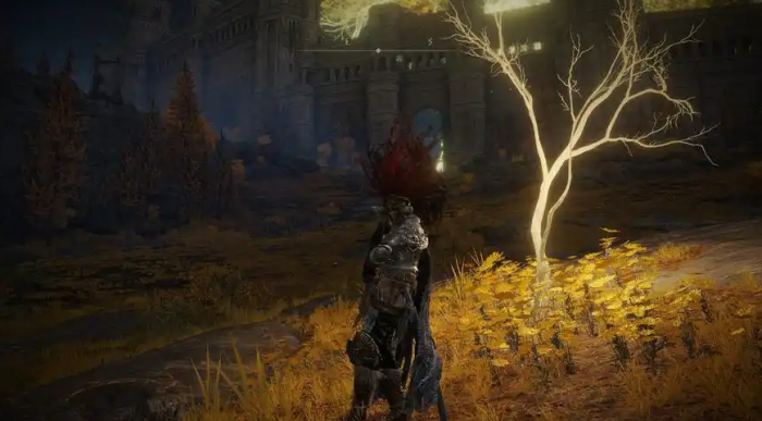 艾尔登法环亚坛高原怎么探索3