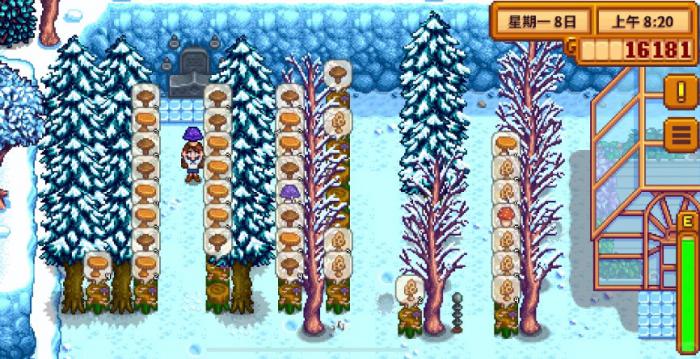 星露谷物语如何利用蘑菇树桩获利2