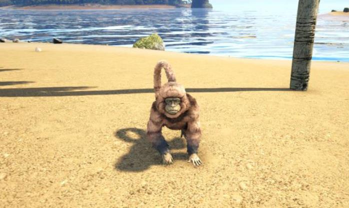 方舟生存进化中猴怎么驯服2