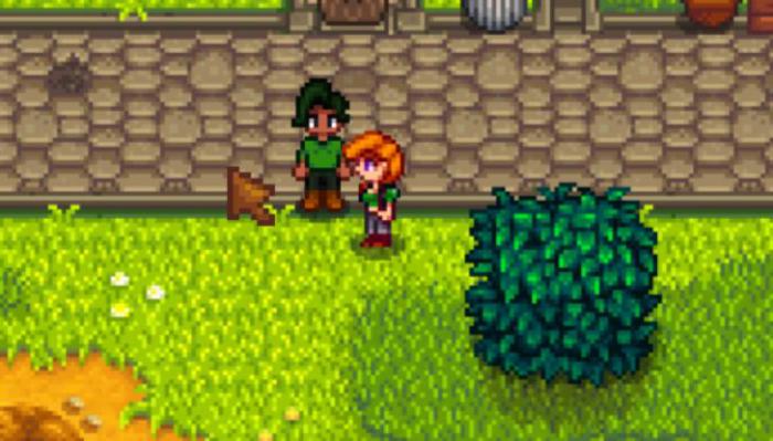 星露谷物语莉亚喜欢什么礼物3