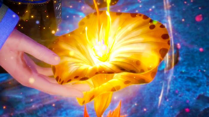 斗罗大陆里有哪些药草3