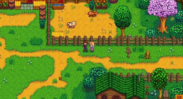 星露谷物语海莉在哪个位置2