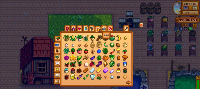 星露谷物语物品有哪些种类2