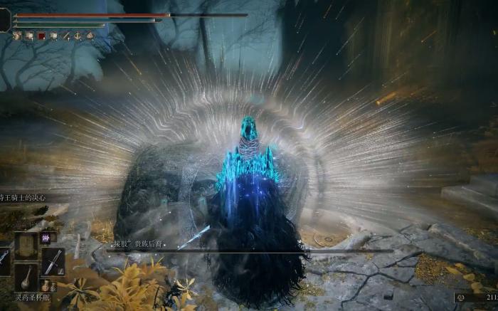 艾尔登法环观星者怎么搭配1