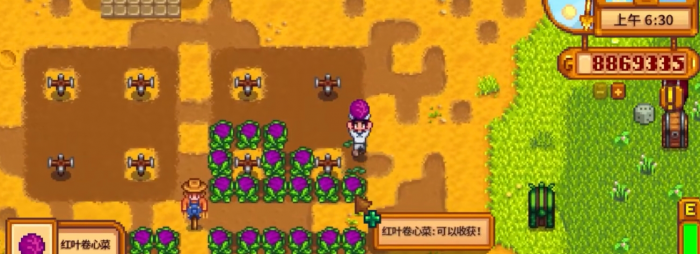 星露谷物语果酱和酿酒的收益哪个更高1