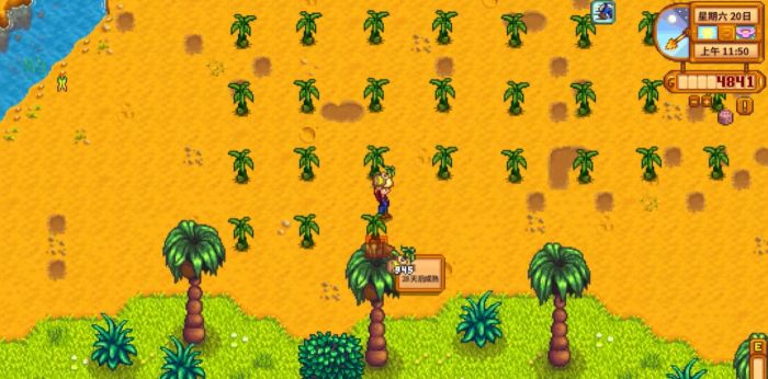 星露谷物语香蕉和芒果怎么得1