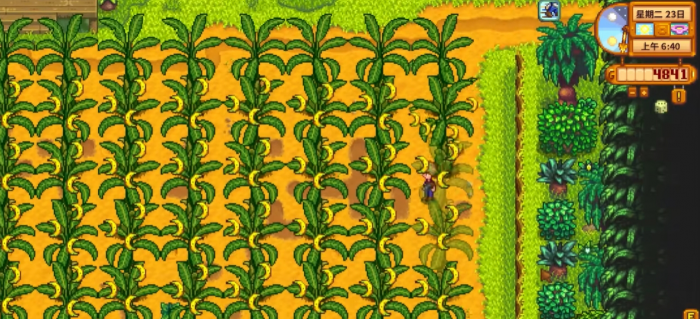 星露谷物语香蕉和芒果怎么得2