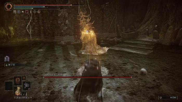 艾尔登法环狮子斩战灰配什么武器1