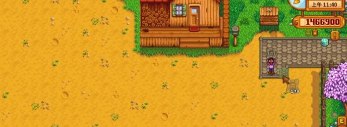 星露谷物语地板有什么用1