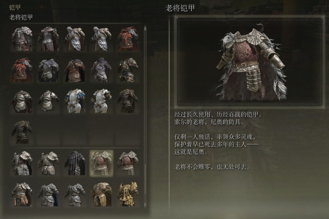 艾尔登法环毕业套装战士怎么样2