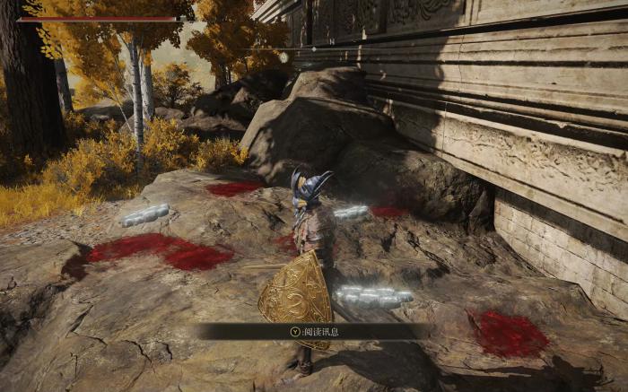 艾尔登法环蓝条怎么恢复3