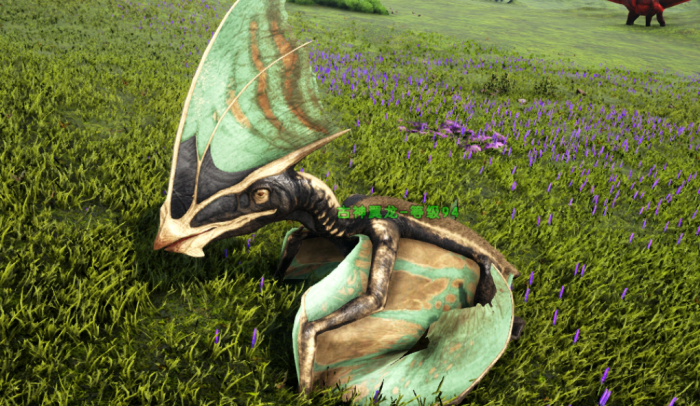 方舟生存进化翼龙怎么飞起来_方舟生存进化翼龙飞起来一卡一卡