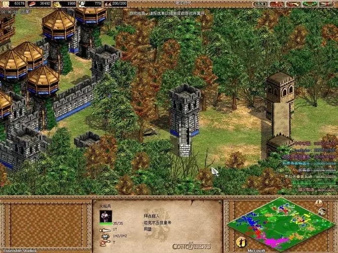 帝国时代2征服者最强国家是哪个1