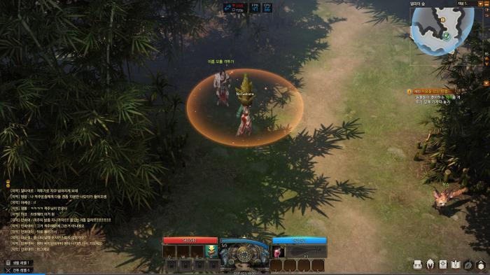 失落的方舟波尔佩岛在哪里1