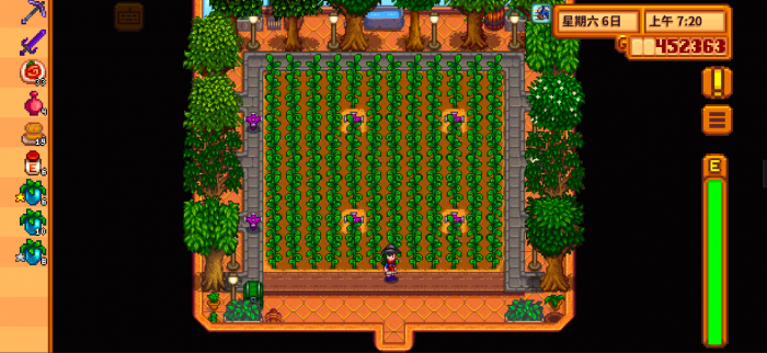 星露谷物语暗室选什么1