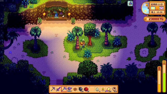 星露谷物语姜岛有什么种植任务2