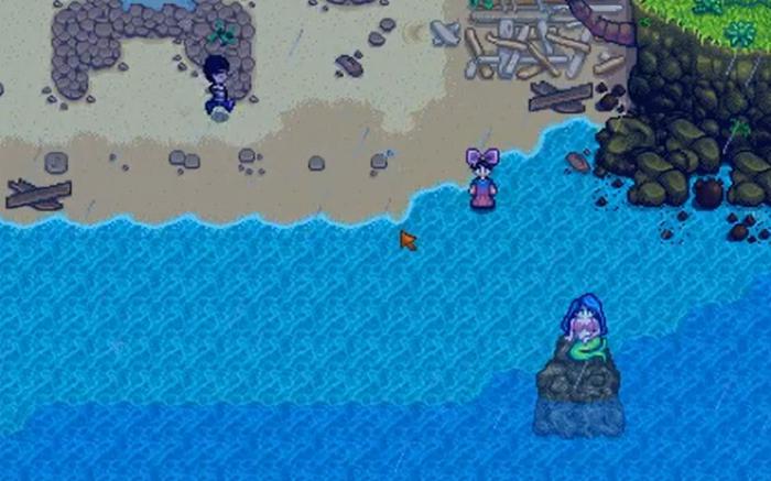 星露谷物语姜岛美人鱼在哪里_星露谷物语姜岛美人鱼顺序