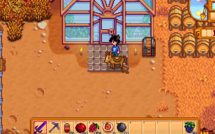 星露谷物语海莉生日在哪2