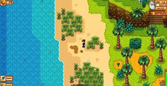 星露谷物语姜岛海盗湾在哪1