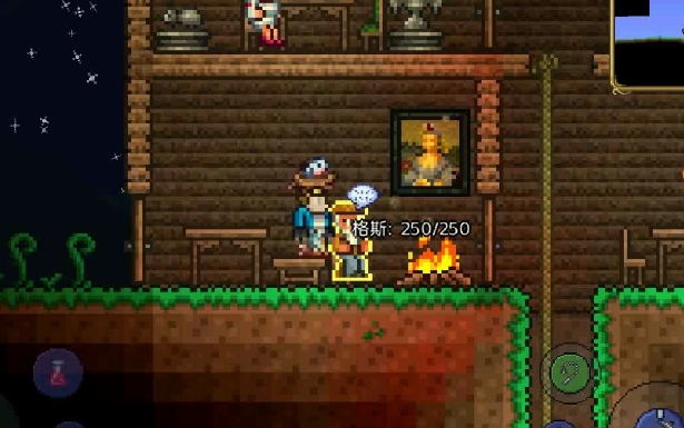 泰拉瑞亚公主有什么用3