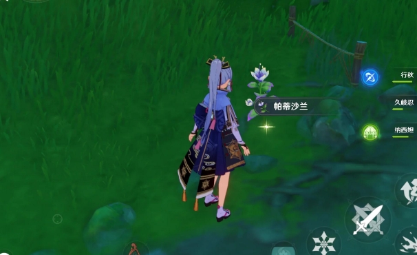 原神毗波耶怎么快速收集2