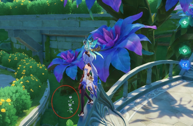 原神帕蒂沙兰怎么快速收集3