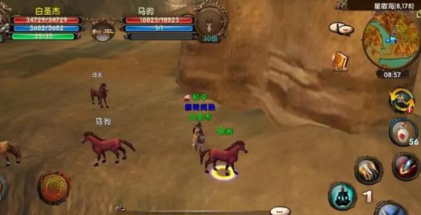 卧虎藏龙黑马哪里抓1