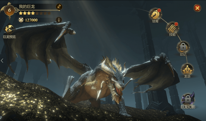 阿瓦隆之王白龙组有什么玩法_阿瓦隆之王 白龙组