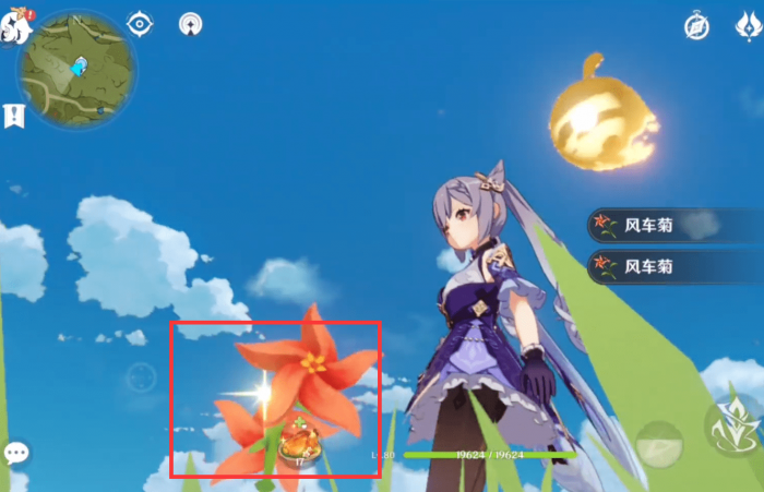 原神风车菊在哪里2