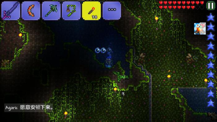 泰拉瑞亚新三矿是什么2