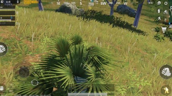 绝地求生货轮在哪里1