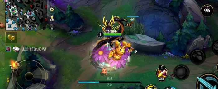 英雄联盟手游打野努努怎么玩1