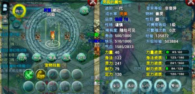 忘仙怎么养宠物1