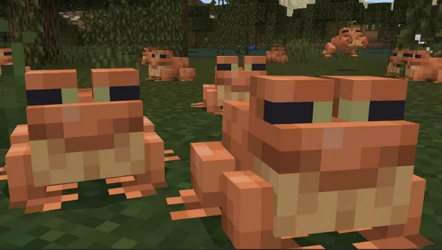 我的世界青蛙怎么用1