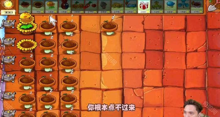 《植物大战僵尸杂交版》冒险模式第47关通关攻略2