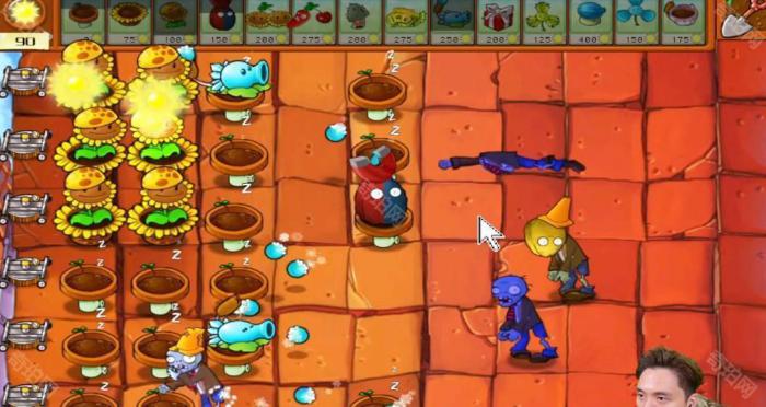 《植物大战僵尸杂交版》冒险模式第47关通关攻略3