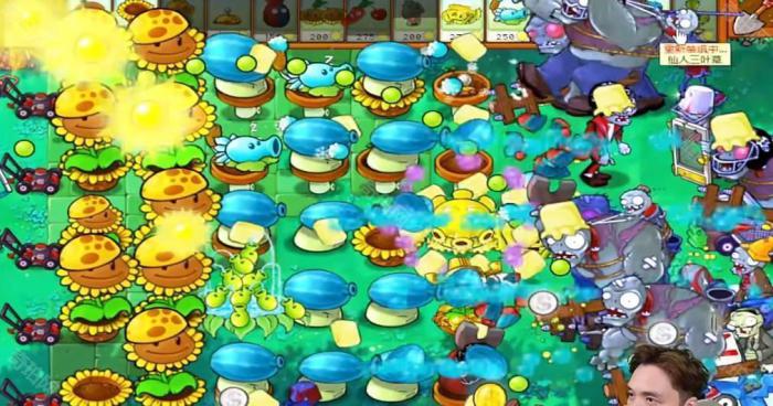 《植物大战僵尸杂交版》冒险模式第39关通关攻略5